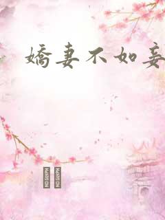 娇妻不如妾
