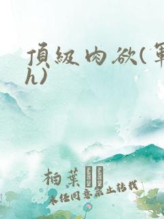 顶级肉欲(军高h)