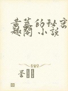 黄蓉的秘密 笔趣阁 小说