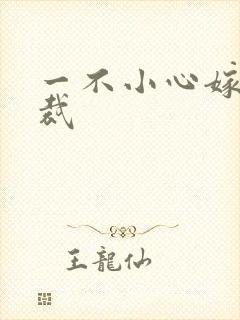 一不小心嫁给总裁