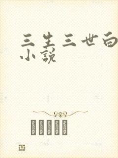 三生三世白暮泪小说