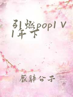 引燃pop1∨1年下