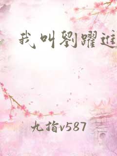 我叫刘跃进下载