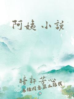 阿姨 小说