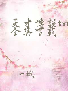 天才传说txt全集下载