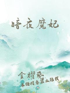 暗夜魔妃