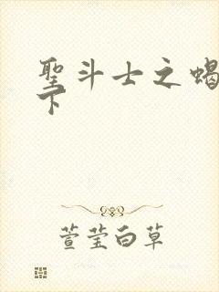 圣斗士之蝎行天下