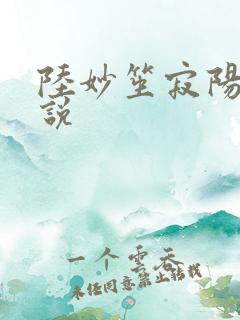 陆妙笙寂阳朔小说