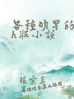 各种明星的综艺h版小说