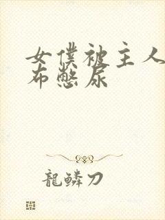 女仆被主人用胶布憋尿