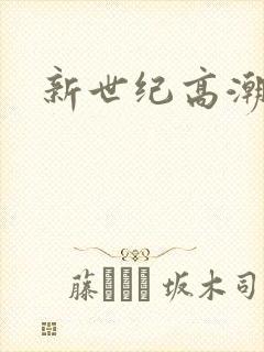 新世纪高潮战队