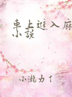 车上进入麻麻的小说