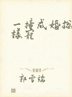 一撞成婚总裁花样宠