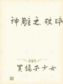 神雕之破碎之旅