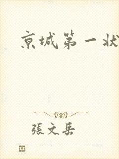 京城第一状师