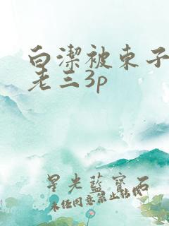 白洁被东子老二老三3p