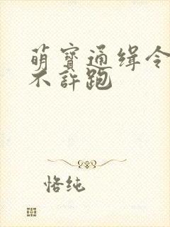 萌宝通缉令妈味不许跑