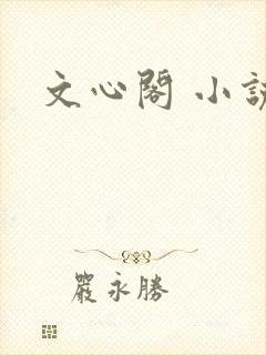 文心阁 小说