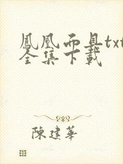 凤凰面具txt全集下载