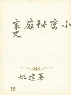 家庭秘密小说全文