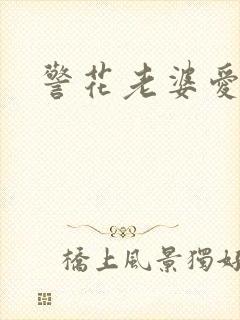 警花老婆爱上我