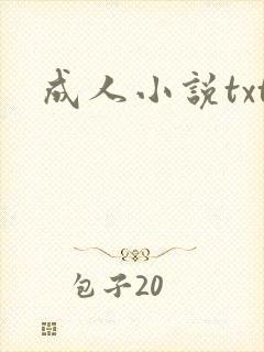 成人小说txt