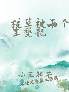 校草被两个体育生双龙