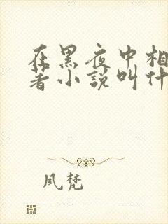 在黑夜中相拥原著小说叫什么