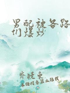 男配被各路大佬们爆炒