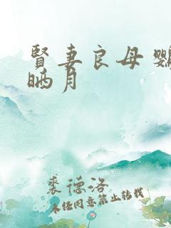 贤妻良母 鹦鹉晒月