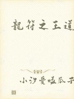 龙符之王道天下