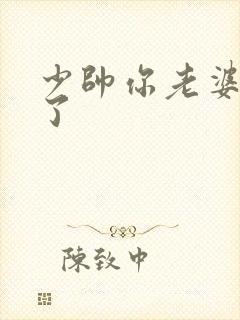 少帅你老婆又跑了