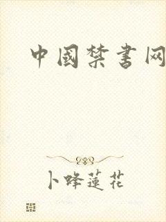 中国禁书网