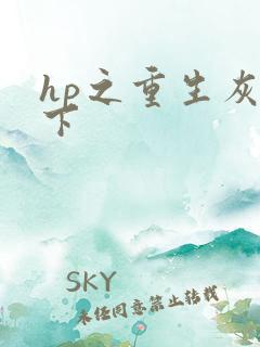 hp之重生灰猊下