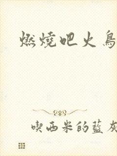 燃烧吧火鸟小说