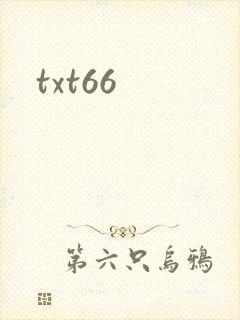 txt66
