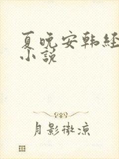 夏晚安韩经年的小说