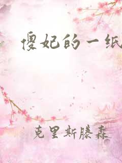 傻妃的一纸休书