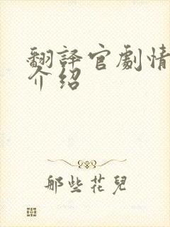 翻译官剧情分集介绍