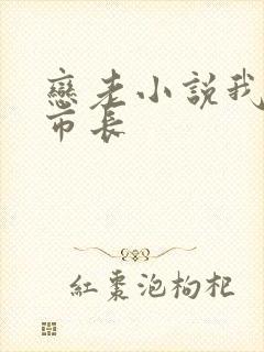 恋老小说我和老市长