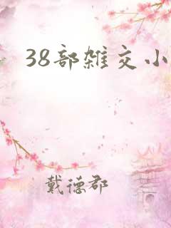 38部杂交小说