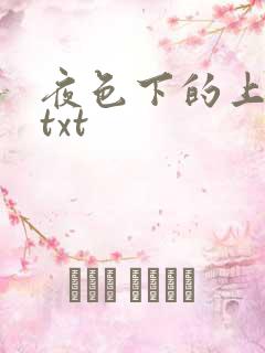 夜色下的上海滩txt
