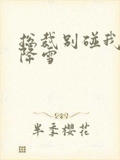 总裁别碰我 韩降雪