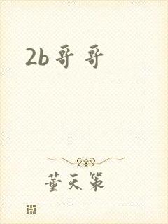 2b哥哥