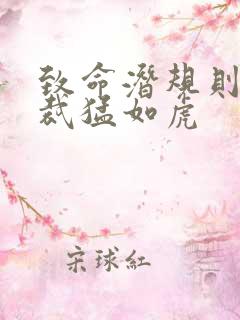 致命潜规则 总裁猛如虎