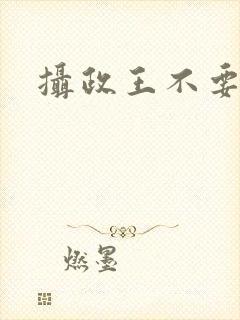 摄政王不要