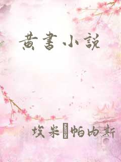 黄书小说