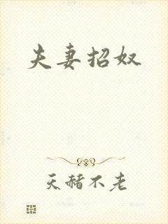夫妻招奴