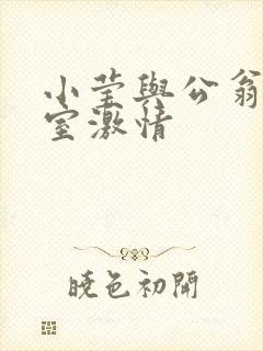 小莹与公翁办公室激情