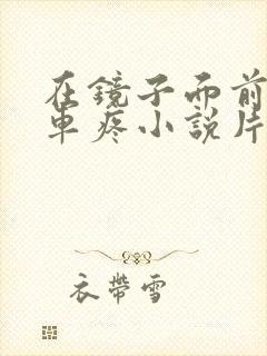 在镜子面前做开车疼小说片段